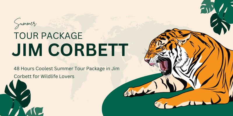 Summer Tour Package in Jim Corbett