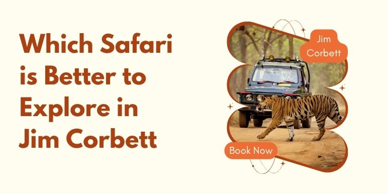 Which Safari is Better to Explore in Jim Corbett