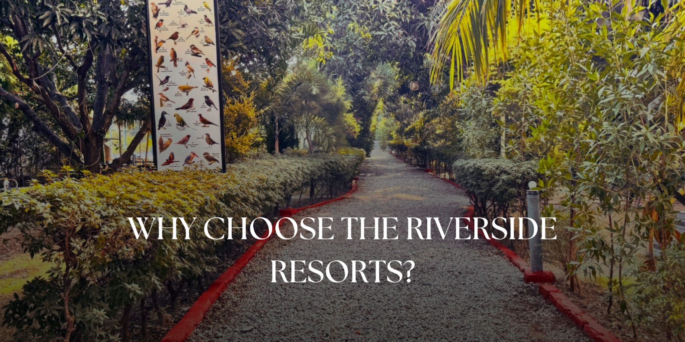 Why Choosing the Riverside Resorts